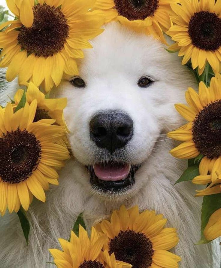77 77