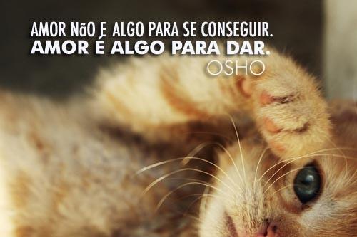 Osho Osho