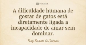 tony tony