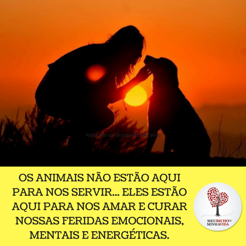 Foto2 Instagram Foto2 Instagram